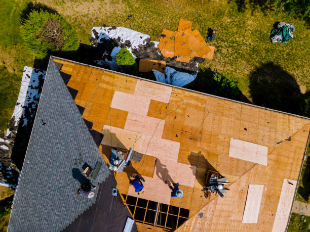 Best Roof Maintenance Services  in Silver Ridge, NJ