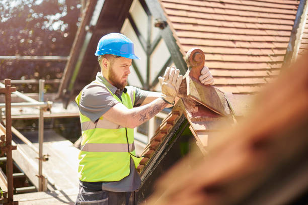Best Roof Gutter Cleaning  in Silver Ridge, NJ