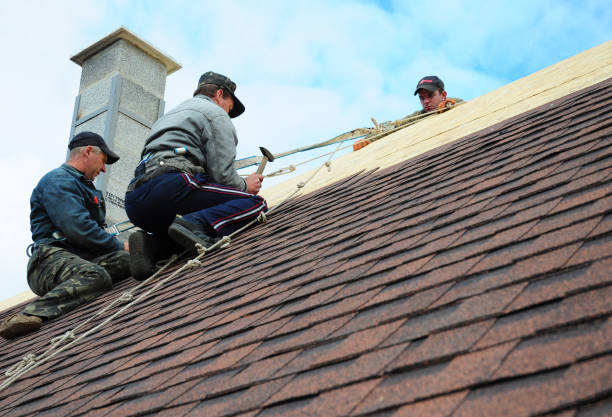 Best Metal Roofing Contractor  in Silver Ridge, NJ